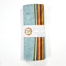 Load image into Gallery viewer, Nordic Walk Felt Bundle