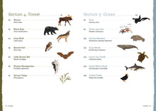 Load image into Gallery viewer, The Field Guide to Embroidery 52 North American Animal & Plant Designs for Nature Lovers