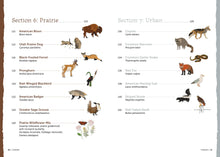 Load image into Gallery viewer, The Field Guide to Embroidery 52 North American Animal & Plant Designs for Nature Lovers