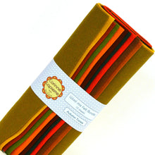 Load image into Gallery viewer, Felt Bundle of 10 Assorted 9" Squares - by Corinne Lapierre