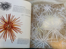 Load image into Gallery viewer, Stitch and Pattern: Design and Technique for Pattern Textile Art by Jean Draper