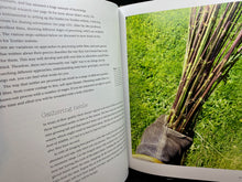 Load image into Gallery viewer, Wild Textiles: Grown, Foraged, Found by Alice Fox