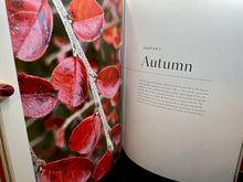 Load image into Gallery viewer, Mark-Making Through the Seasons: Textile Art Inspiration and Techniques by Helen Parrott