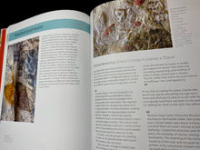 Load image into Gallery viewer, Embroidering the Everyday: Found, Stitch, Paint by Cas Holmes