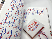 Load image into Gallery viewer, The ABC of Padded Stitch by Elisabetta Sforza