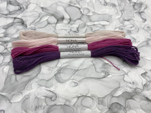 Load image into Gallery viewer, Nona Naturally Dyed Skeins - "Noble" Colorway