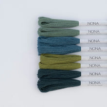 Load image into Gallery viewer, Nona Naturally Dyed Skeins - "Garden" Colorway