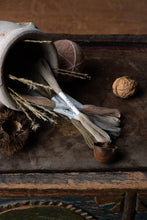 Load image into Gallery viewer, Nona Naturally Dyed Skeins - "Harvest" Colorway