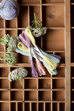 Load image into Gallery viewer, Nona Naturally Dyed Skeins - "Pastel" Colorway