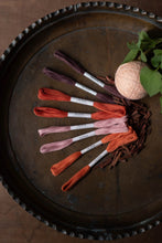 Load image into Gallery viewer, Nona Naturally Dyed Skeins - "Roots" Colorway