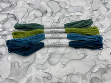Load image into Gallery viewer, Nona Naturally Dyed Skeins - "Garden" Colorway