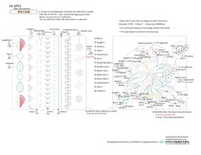 Load image into Gallery viewer, Olympus Garden Party Embroidery Lesson, Level 3