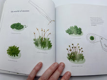 Load image into Gallery viewer, Embroidered Wild Flowers by Kazuko Aoki