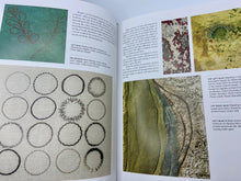 Load image into Gallery viewer, The Intentional Thread: A Guide To Drawing Gesture and Color In Stitch by Susan Brandeis