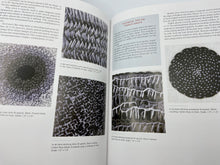 Load image into Gallery viewer, The Intentional Thread: A Guide To Drawing Gesture and Color In Stitch by Susan Brandeis