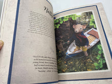 Load image into Gallery viewer, The Wind in the Willows Felt Friends by Cynthia Treen