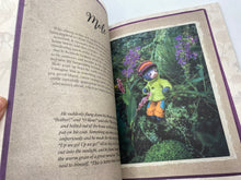 Load image into Gallery viewer, The Wind in the Willows Felt Friends by Cynthia Treen