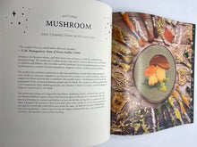 Load image into Gallery viewer, Paint with Thread: A step-by-step guide to embroidery through the seasons by Emillie Ferris