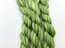 Load image into Gallery viewer, Weeks Dye Works Crewel Wool, Ivy