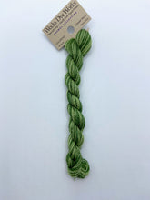 Load image into Gallery viewer, Weeks Dye Works Crewel Wool, Ivy