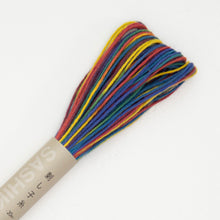 Load image into Gallery viewer, Sashiko Thread - Variegated Colors - by Olympus
