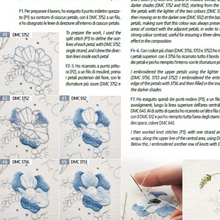 Load image into Gallery viewer, Bouquet Letters by Elisabetta Sforza
