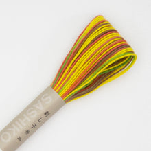 Load image into Gallery viewer, Sashiko Thread - Variegated Colors - by Olympus
