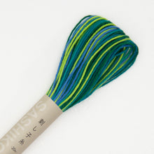 Load image into Gallery viewer, Sashiko Thread - Variegated Colors - by Olympus
