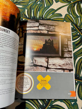 Load image into Gallery viewer, The Mr X Stitch Guide to Cross Stitch by Jamie Chalmers
