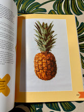 Load image into Gallery viewer, The Mr X Stitch Guide to Cross Stitch by Jamie Chalmers
