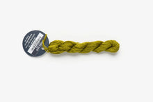 Load image into Gallery viewer, Moss (#1070) Planet Earth 6 ply silk
