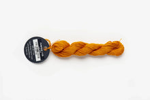 Load image into Gallery viewer, Pumpkin (#1156) Planet Earth 6 ply silk
