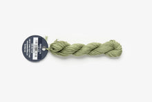 Load image into Gallery viewer, Sage (#1174) Planet Earth 6 ply silk
