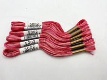 Load image into Gallery viewer, Cosmo Embroidery Floss, &quot;Seasons&quot; - assorted variegated colors
