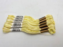 Load image into Gallery viewer, Cosmo Embroidery Floss, &quot;Seasons&quot; - assorted variegated colors
