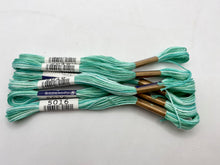 Load image into Gallery viewer, Cosmo Embroidery Floss, &quot;Seasons&quot; - assorted variegated colors
