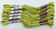 Load image into Gallery viewer, Cosmo Embroidery Floss, &quot;Seasons&quot; - assorted variegated colors
