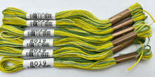 Load image into Gallery viewer, Cosmo Embroidery Floss, &quot;Seasons&quot; - assorted variegated colors
