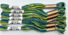 Load image into Gallery viewer, Cosmo Embroidery Floss, &quot;Seasons&quot; - assorted variegated colors
