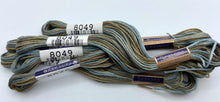 Load image into Gallery viewer, Cosmo Embroidery Floss, &quot;Seasons&quot; - assorted variegated colors
