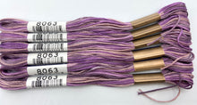 Load image into Gallery viewer, Cosmo Embroidery Floss, &quot;Seasons&quot; - assorted variegated colors
