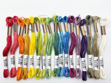 Load image into Gallery viewer, Cosmo Embroidery Floss, &quot;Seasons&quot; - assorted variegated colors
