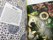 Load image into Gallery viewer, Modern Japanese Embroidery Stitches: Bold &amp; Exotic Plants, Sea Life, Charms, Letters and More! by Noriko Tsuchihashi
