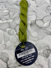 Load image into Gallery viewer, Dill (#1053) Planet Earth 6 ply silk
