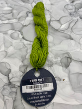 Load image into Gallery viewer, Fern (#1057) Planet Earth 6 ply silk
