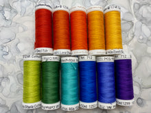 Load image into Gallery viewer, Rainbow set of Sulky Solid Cotton Thread - 12wt.; 11 spools total
