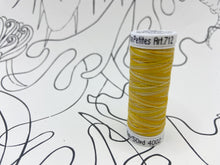 Load image into Gallery viewer, Sulky Blendables Cotton Thread - 12wt.
