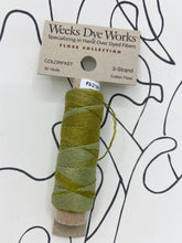Load image into Gallery viewer, Scuppernong (#2196) Weeks Dye Works 3-strand cotton floss
