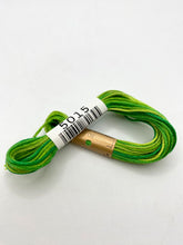 Load image into Gallery viewer, Cosmo Embroidery Floss, &quot;Seasons&quot; - assorted variegated colors

